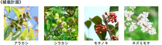 《植栽計画》   アラカシ   シラカシ   モチノキ   ネズミモチ 	