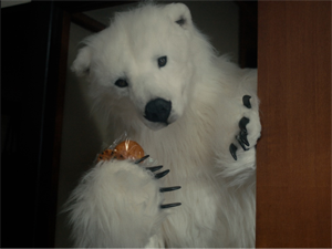 コンセプトムービー1