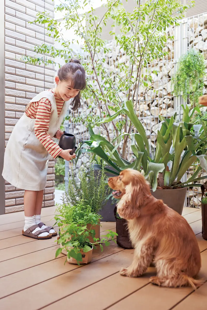 テラスで植物に水をやる女の子